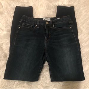 William Rast Denim Jeans Ankle Skinny Size 25